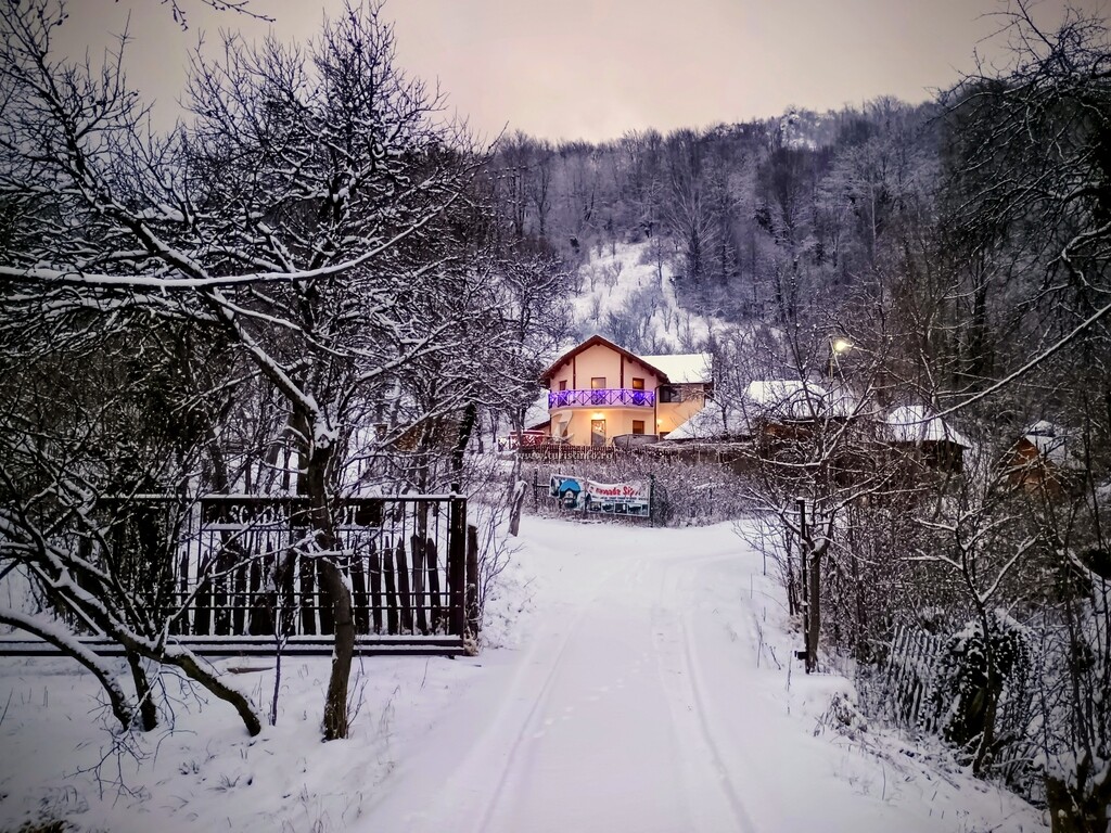 Pensiunea La Cascada Șipot