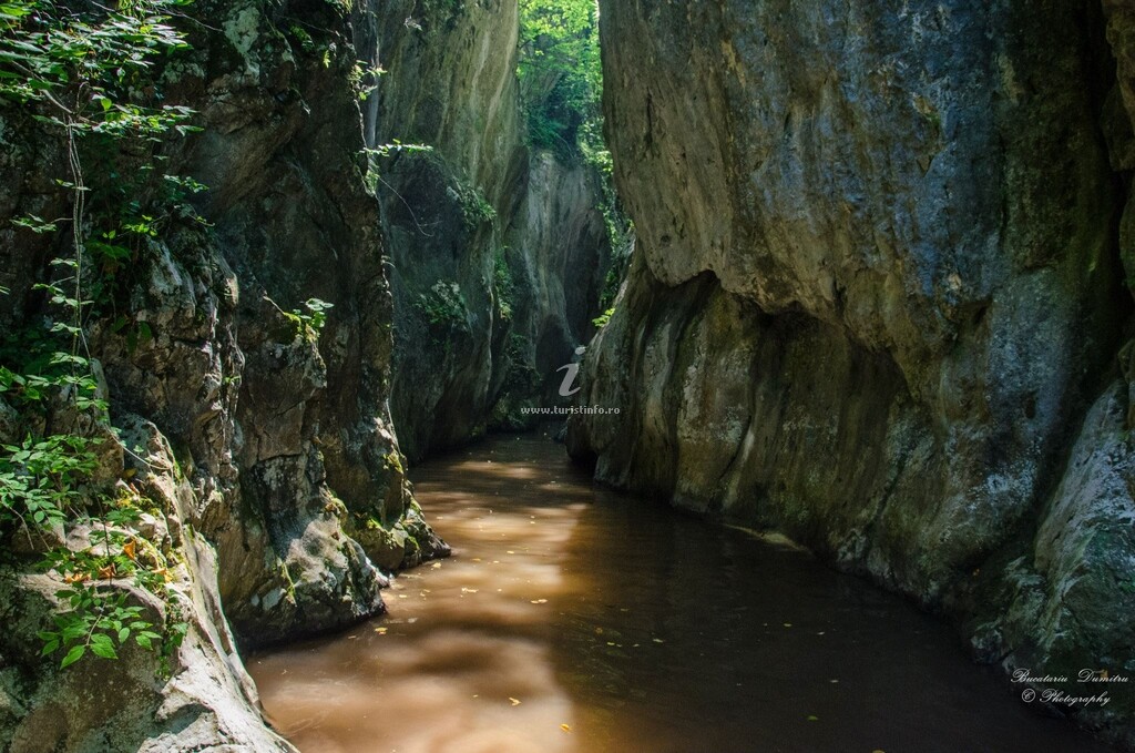 Pensiunea La Cascada Șipot