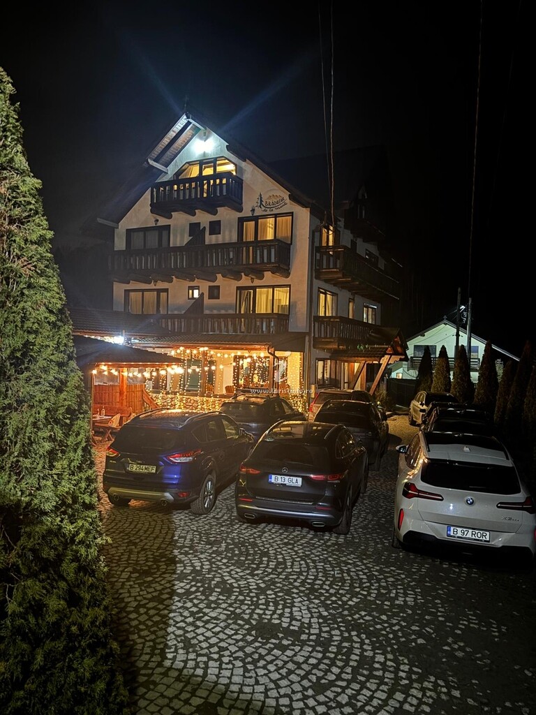 Vila Brăduțul de la munte