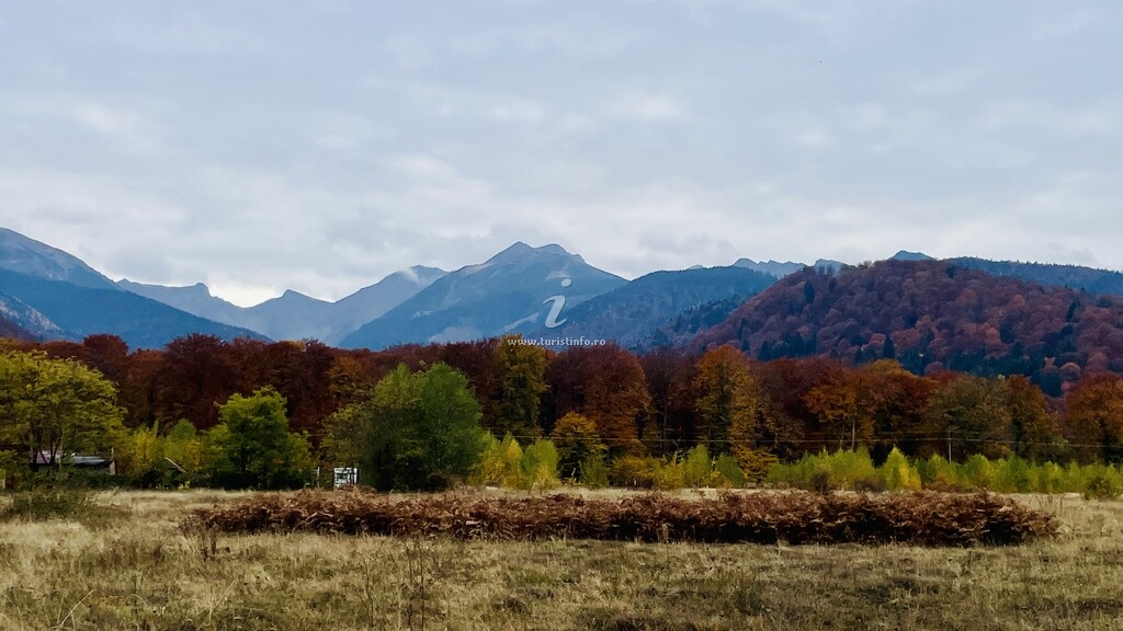 Pensiunea Panoramic
