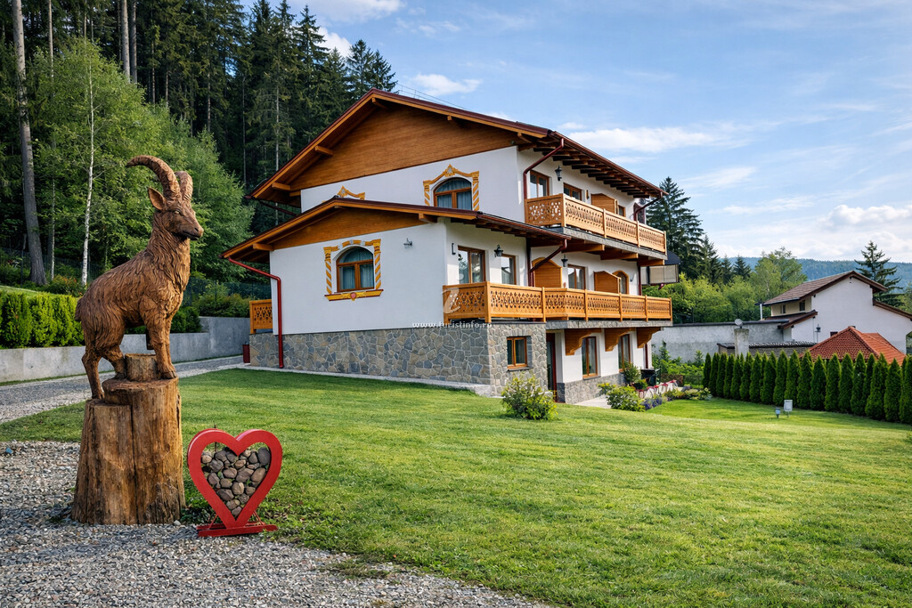 Pensiunea Casa Belcin