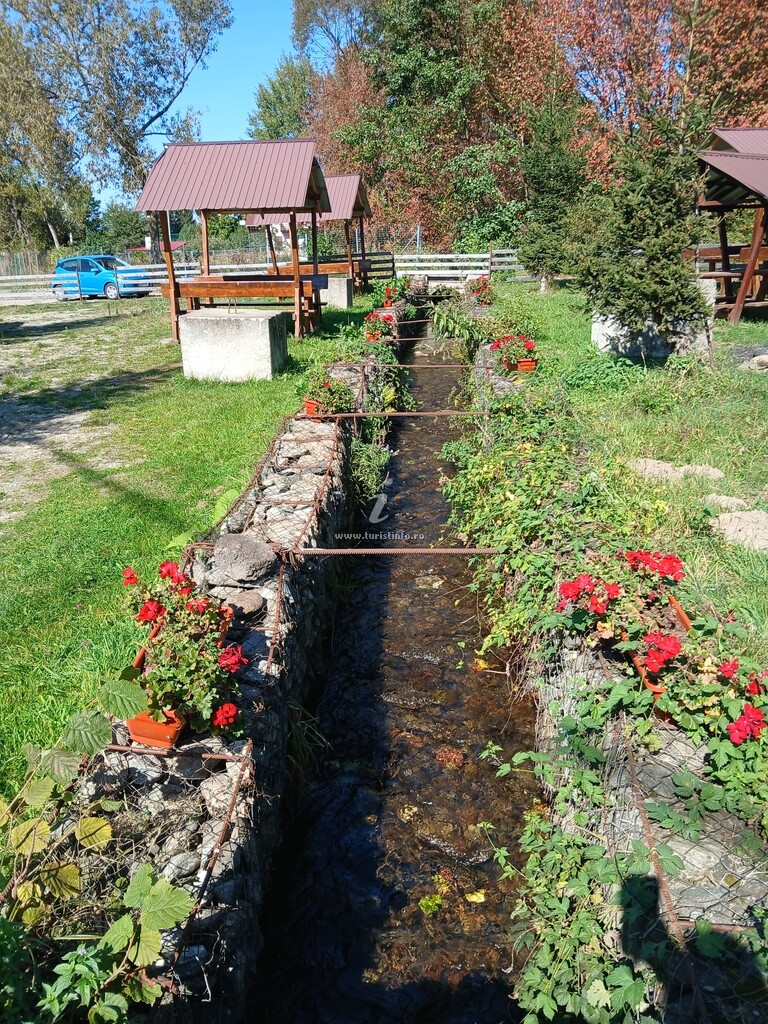 Cabana Barbu