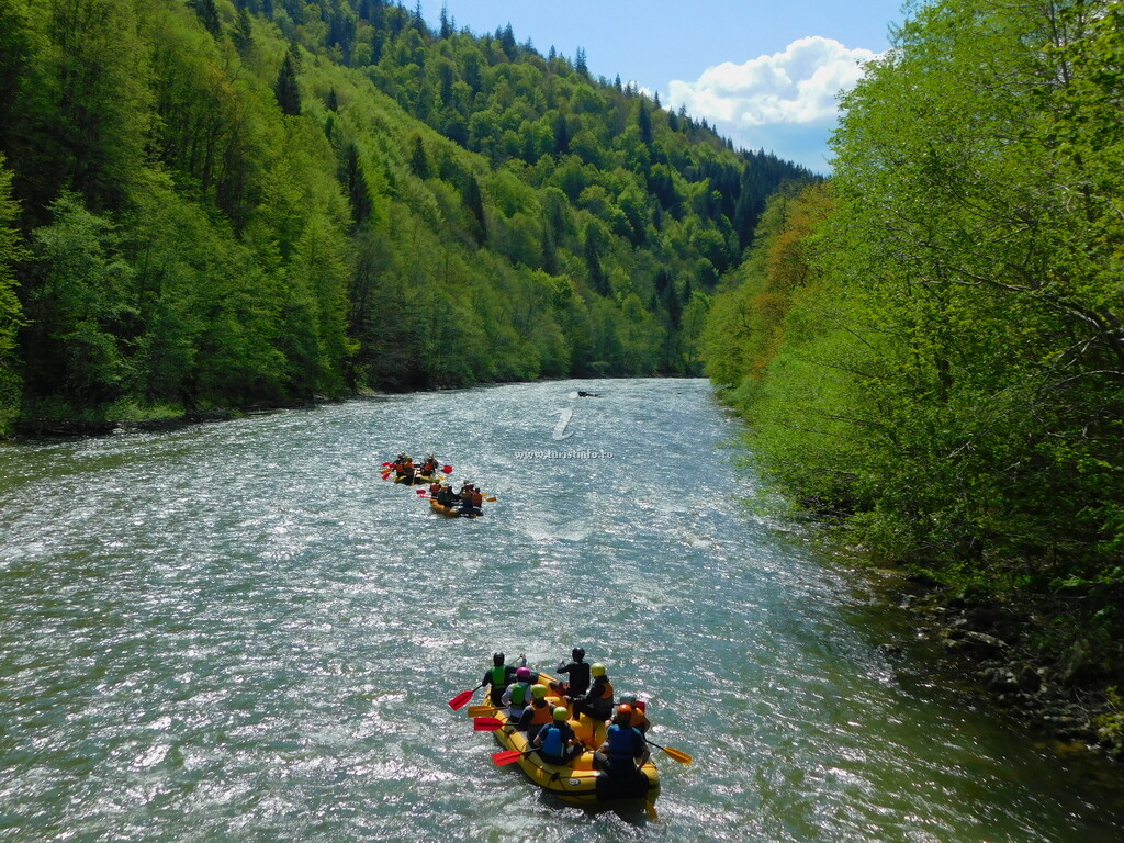 Bucovina Glamping