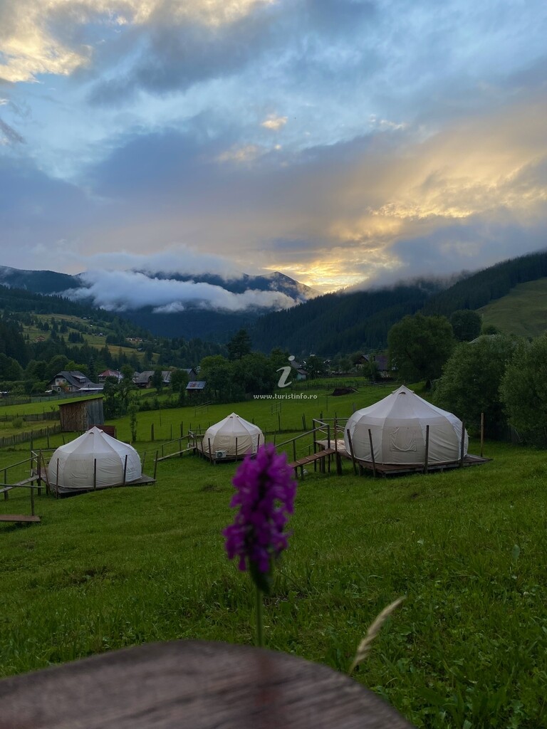 Bucovina Glamping