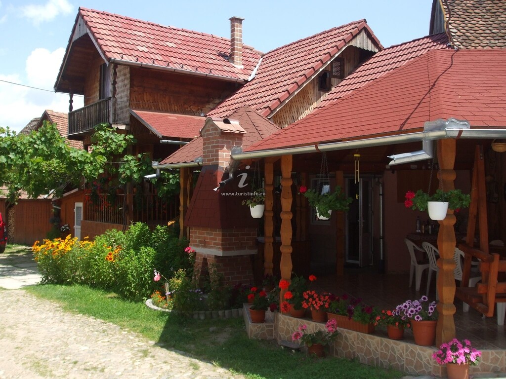 Pensiunea Hanzu Maria Ileana