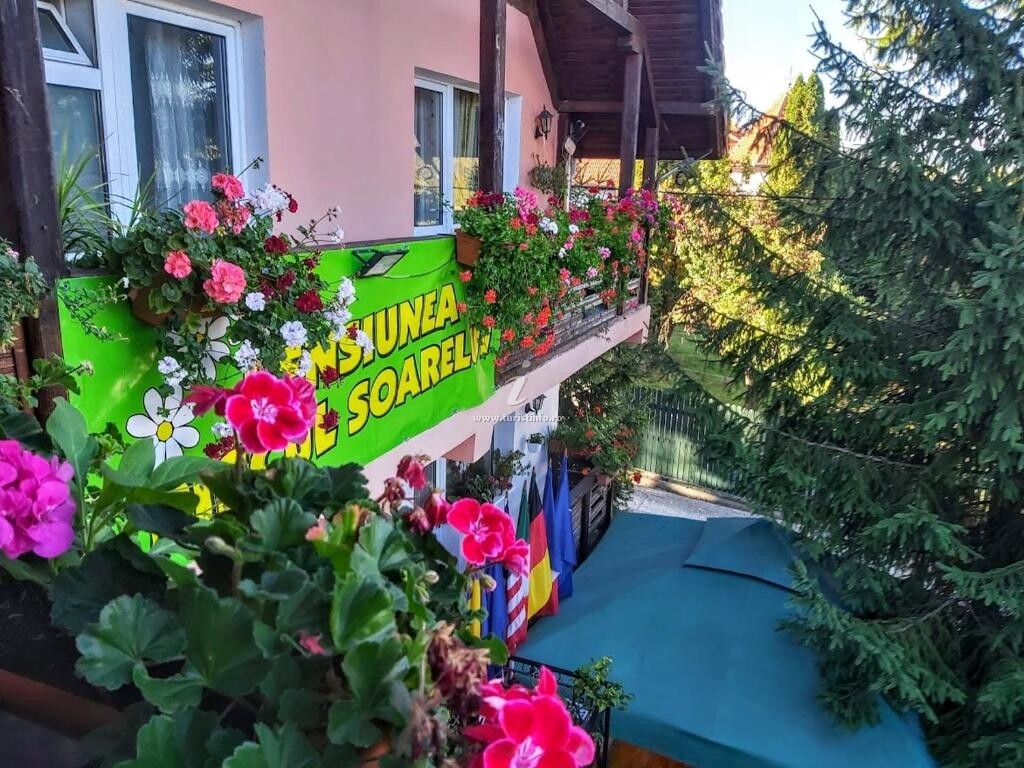Pensiunea Agroturistică Piscul Soarelui