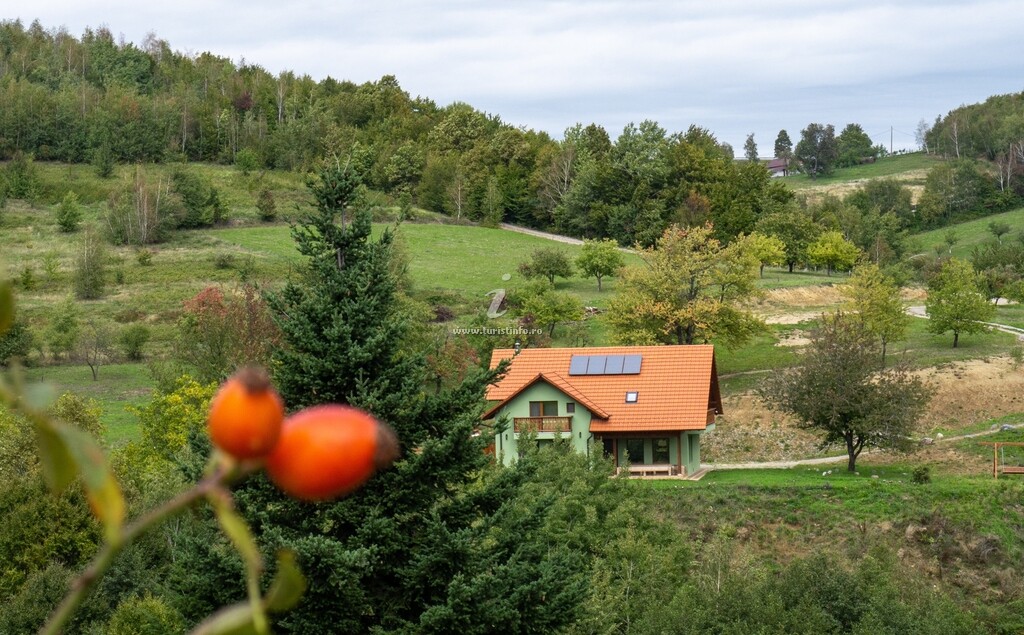 Pensiunea Agroturistică Rose Hip Hill