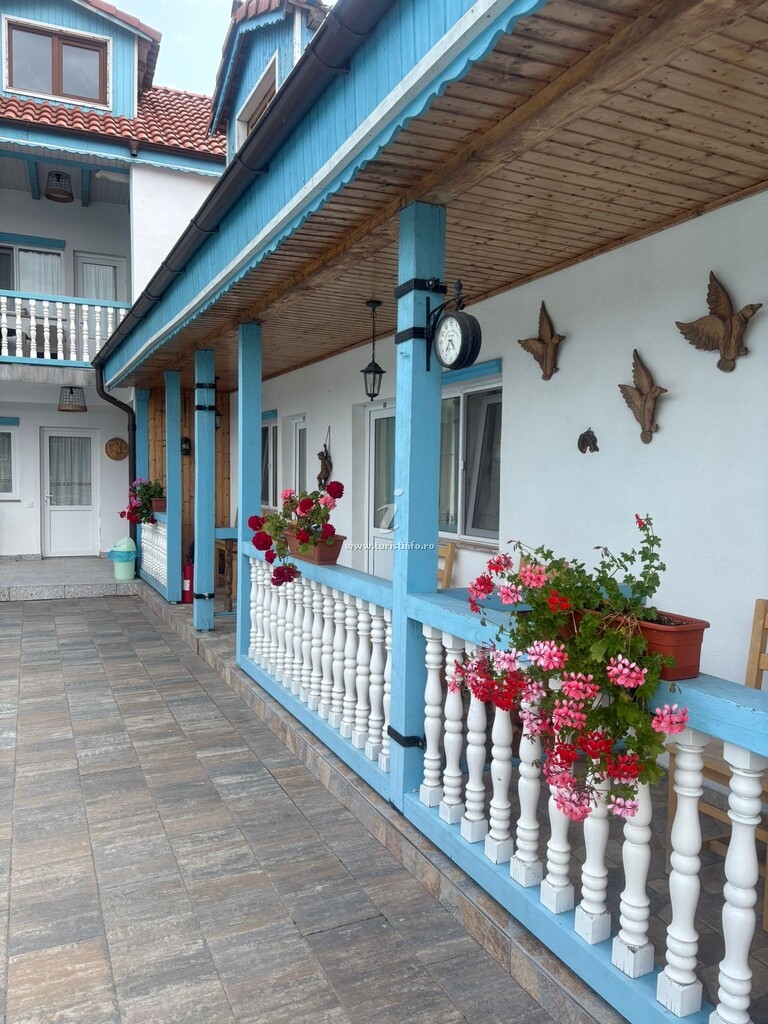 Camere de închiriat Casa Lotca
