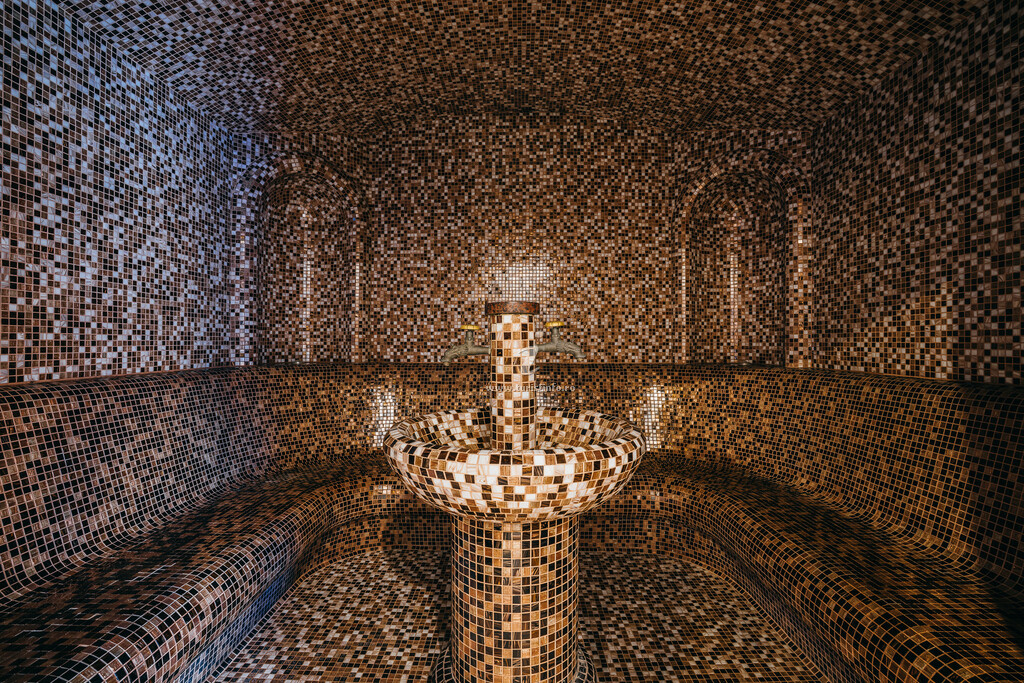 Hotel & Spa Altus