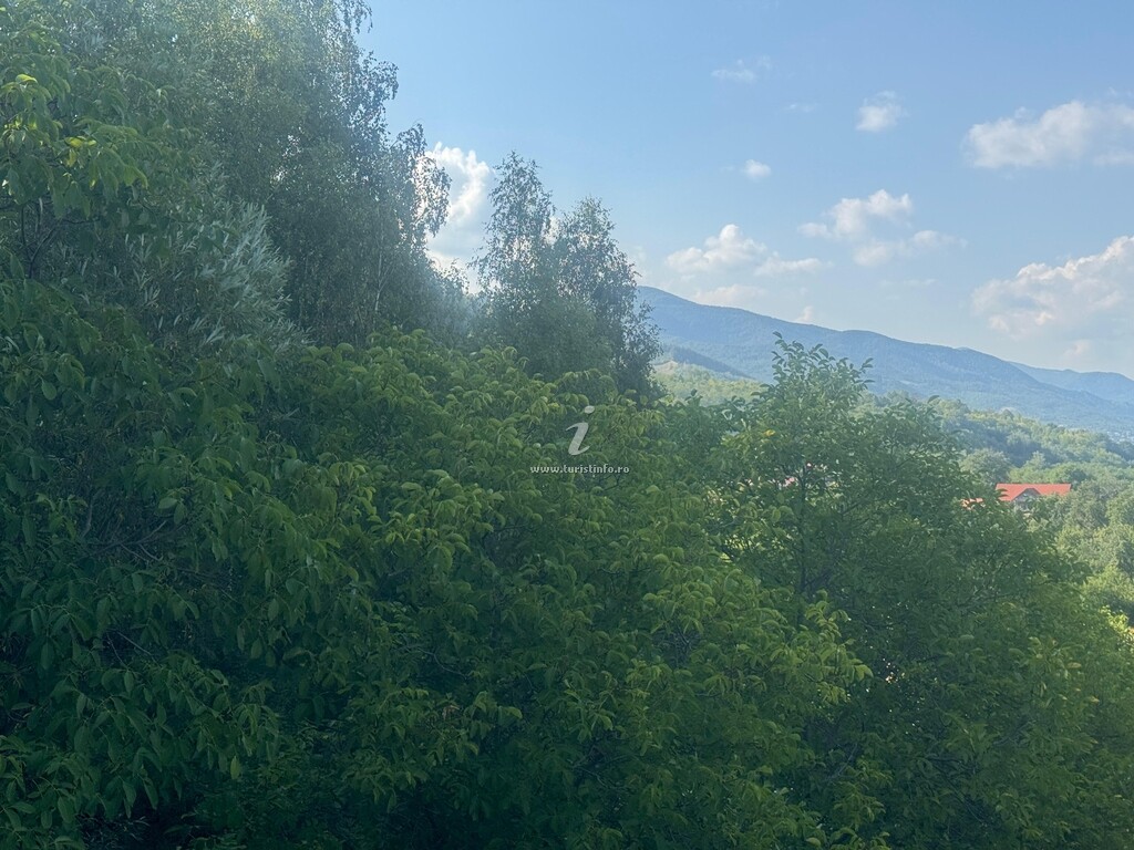 Pensiunea Liniștea Pădurii