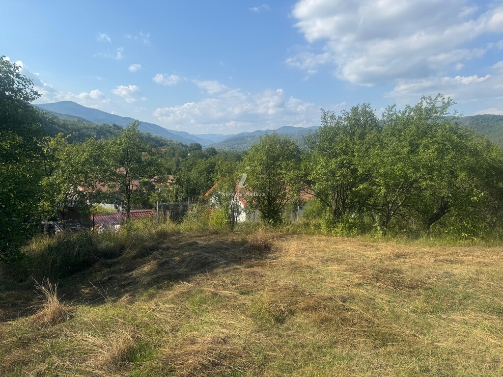 Pensiunea Liniștea Pădurii