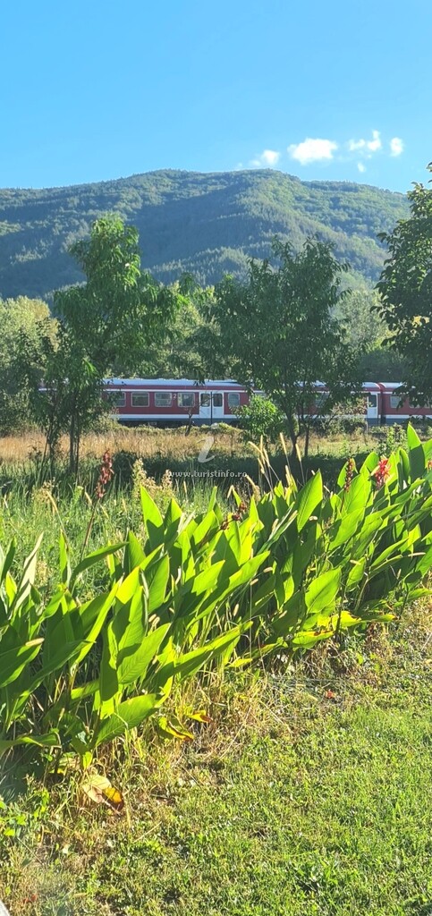 Glamping Arca Rafting Camp