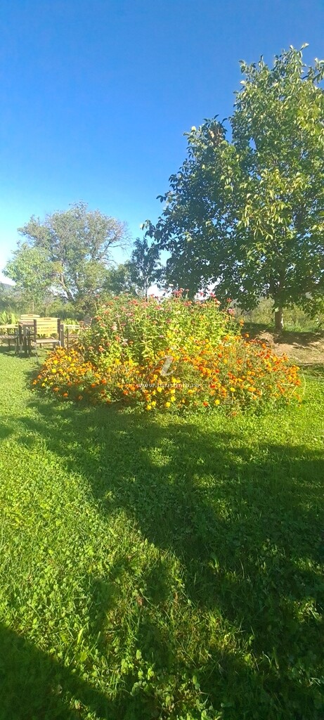 Glamping Arca Rafting Camp
