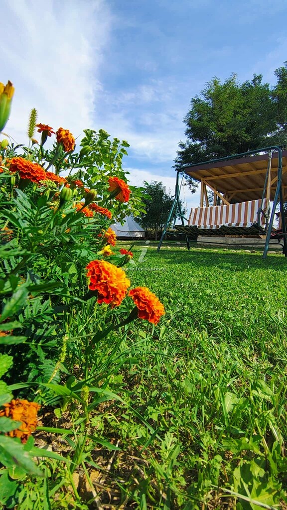 Glamping Arca Rafting Camp