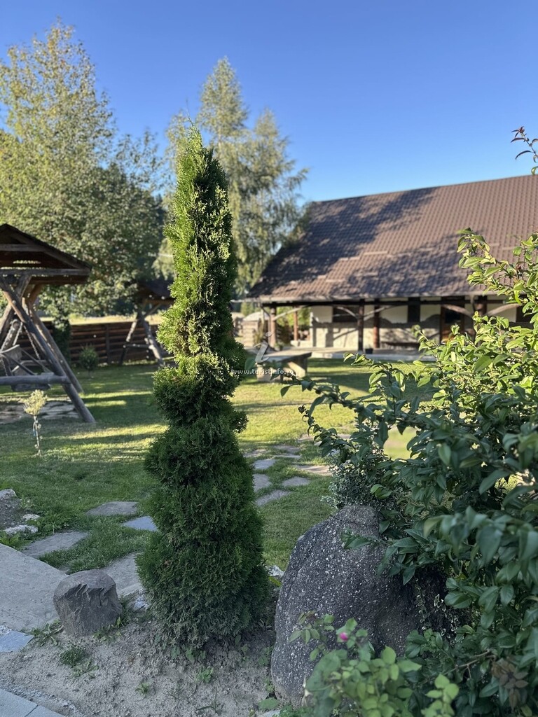 Pensiunea Casa Zimbru