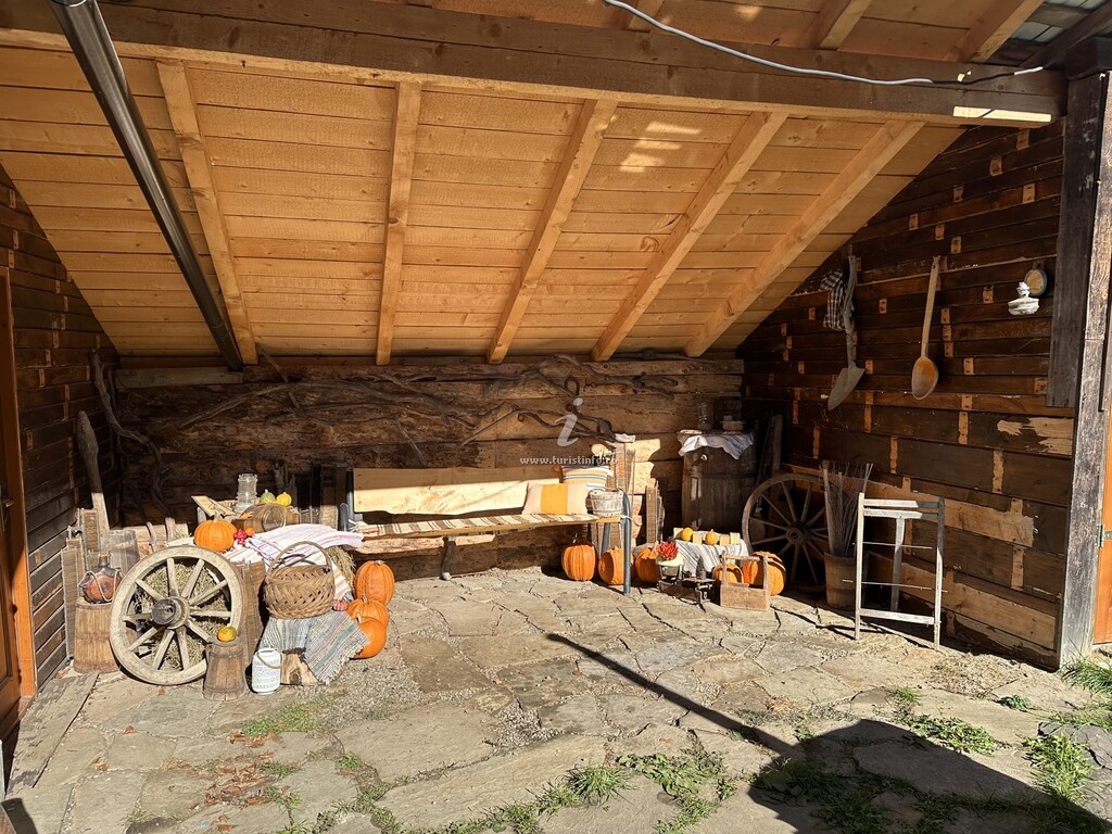 Pensiunea Casa Zimbru