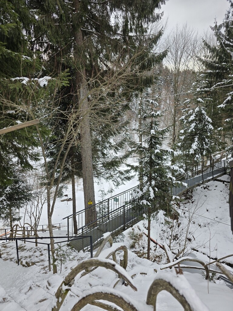 Pensiunea Casa Zimbru