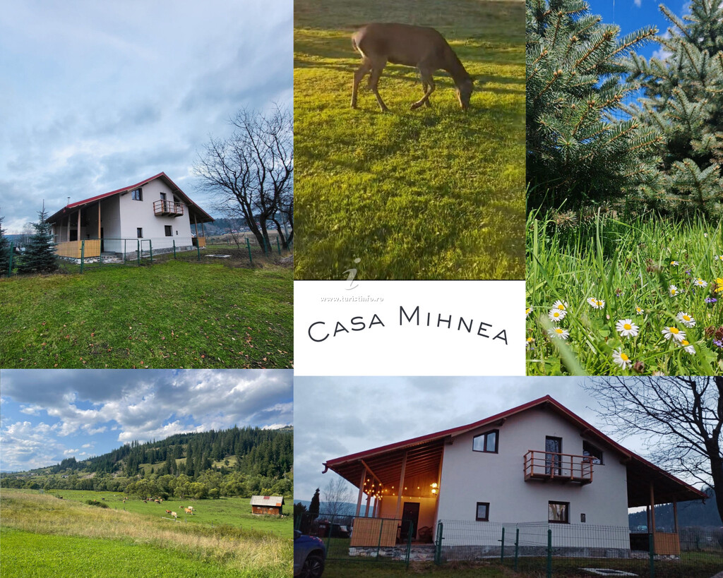 Casa de vacanță Casa Mihnea
