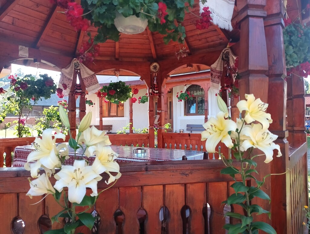 Pensiunea Agroturistică Casa Iulia