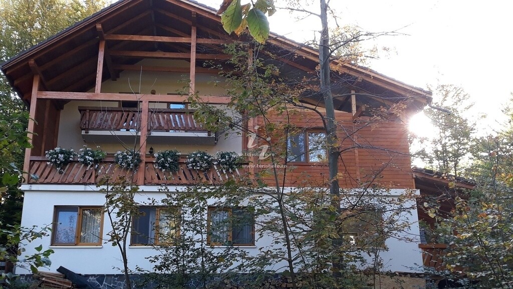 Cabana Pintea Chalet