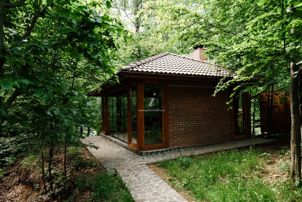 Cabana Pintea Chalet