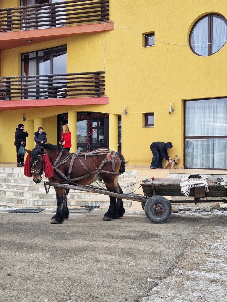 Pensiunea Steaua Nordului
