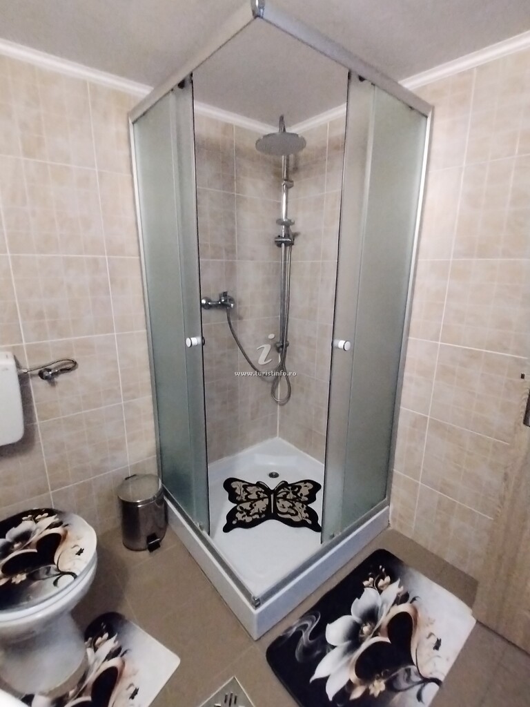 Casa din Munți