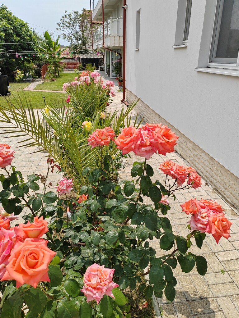 Casa Beyaz