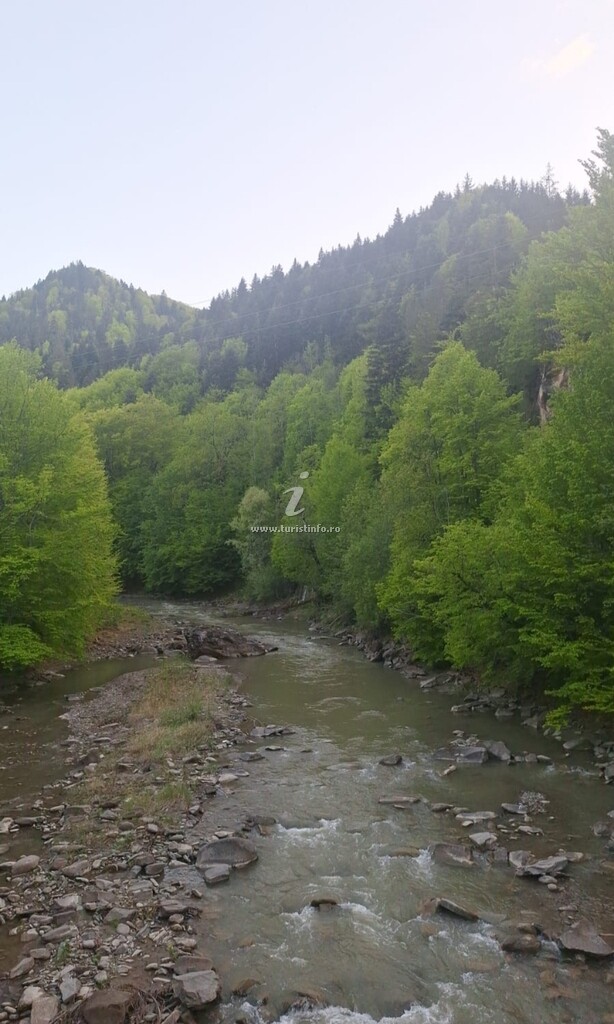 Pensiunea Poiana Cerbului