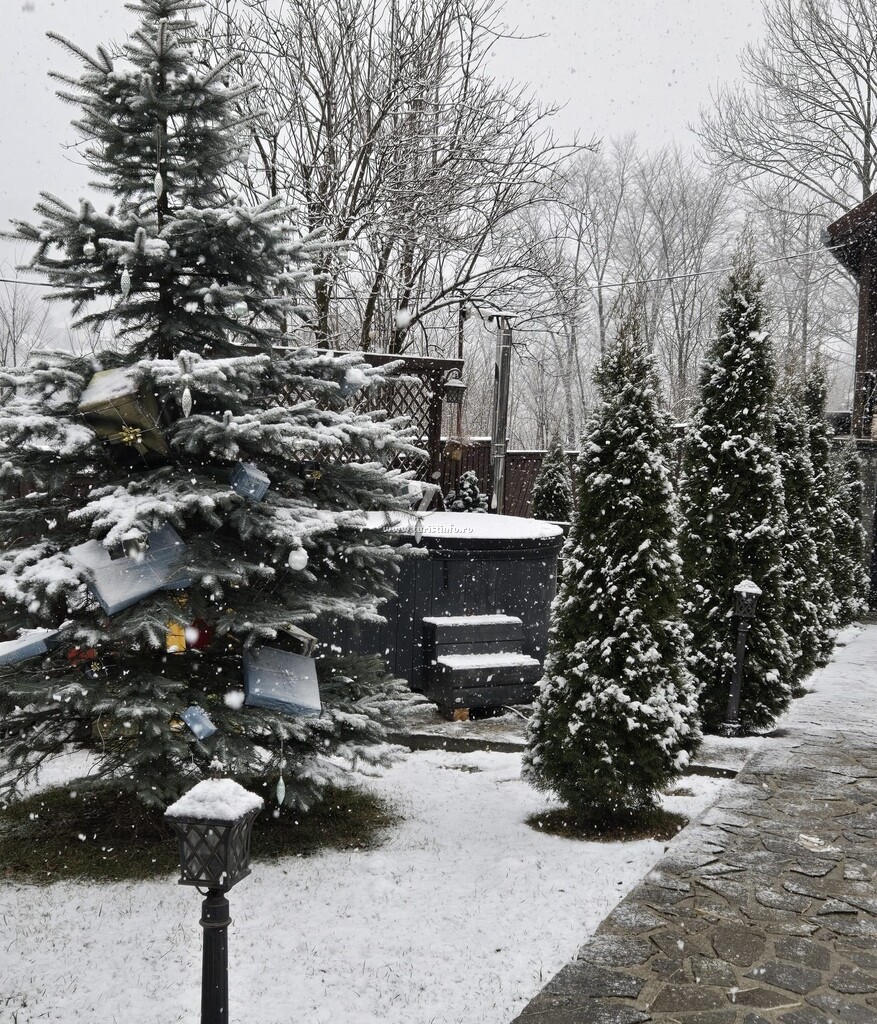 Vila Drumul Domnșiorilor
