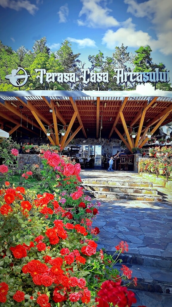 Motel Casa Arcașului
