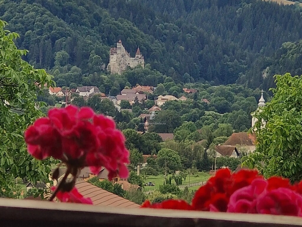 Plai din Bran Transilvania