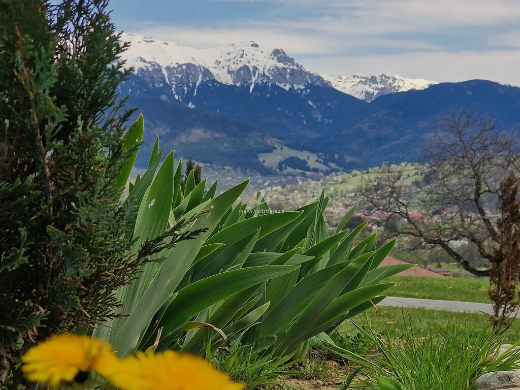 Plai din Bran Transilvania