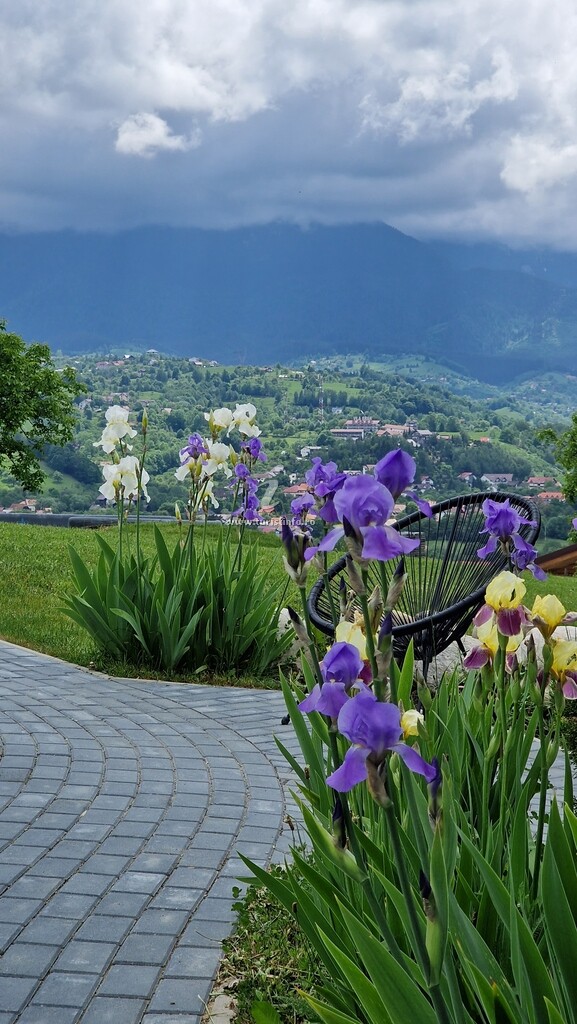 Plai din Bran Transilvania