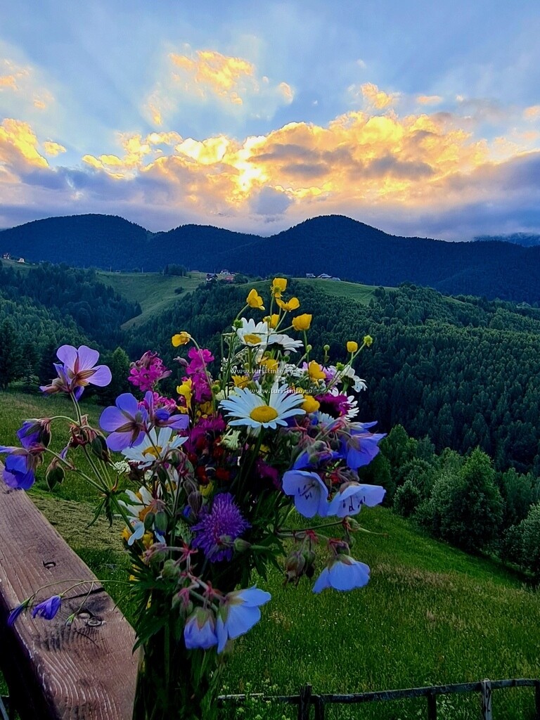 Pensiunea Daneluța