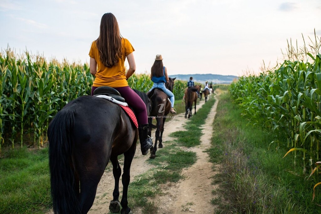 Pensiunea Agroturistică Casa Dives din 1850