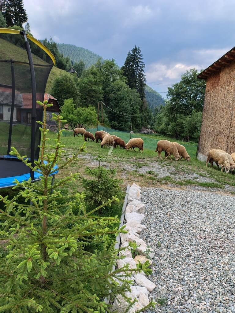 Căsuța lui Matei