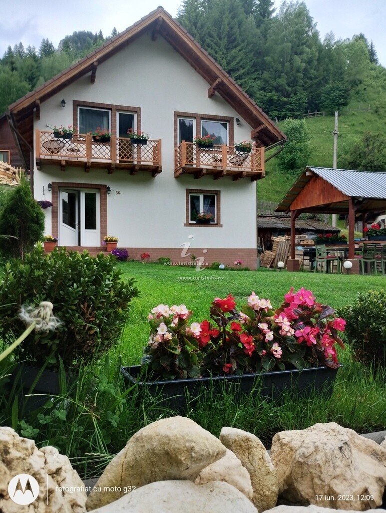 Căsuța lui Matei
