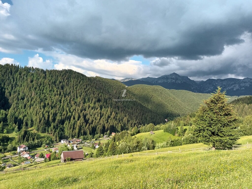Căsuța lui Matei