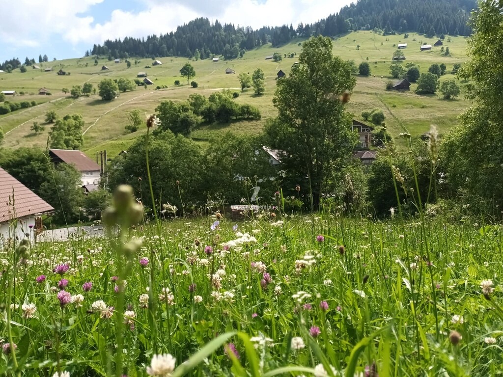 Căsuța lui Matei