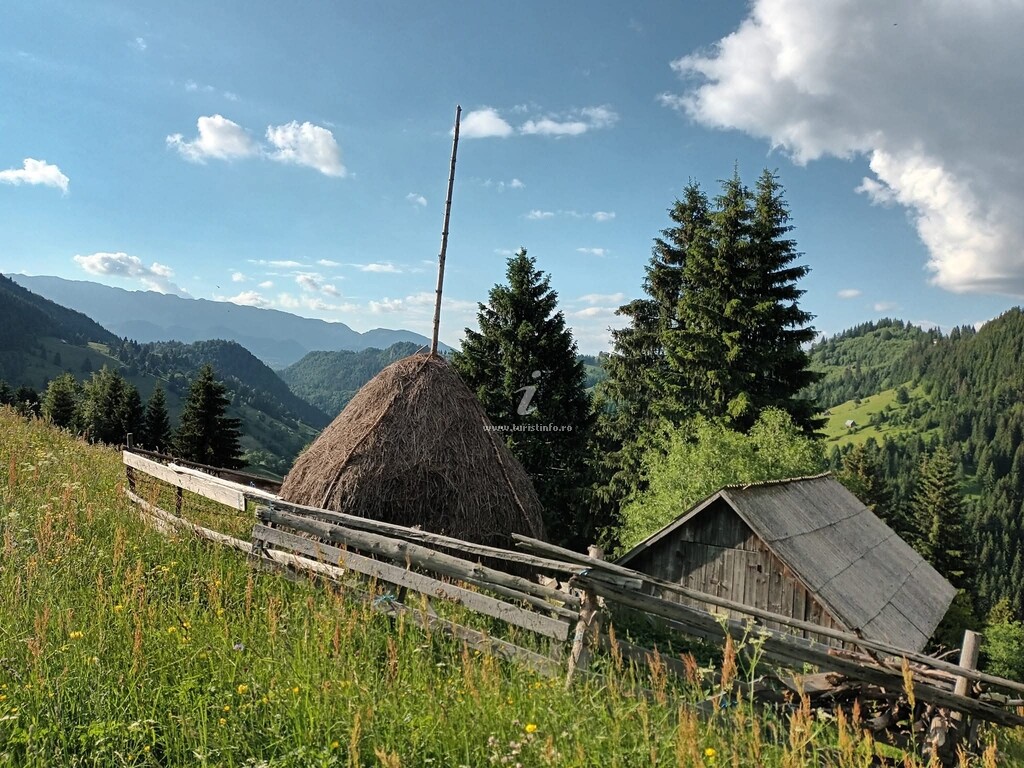 Căsuța lui Matei