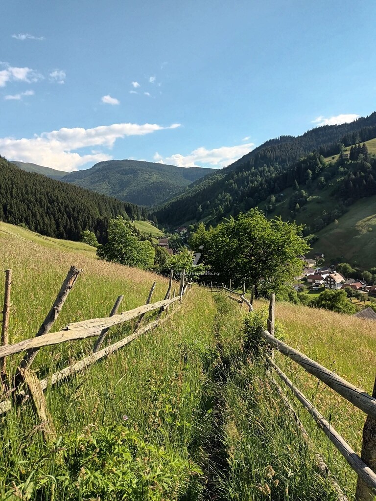 Căsuța lui Matei