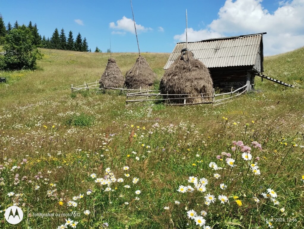 Căsuța lui Matei