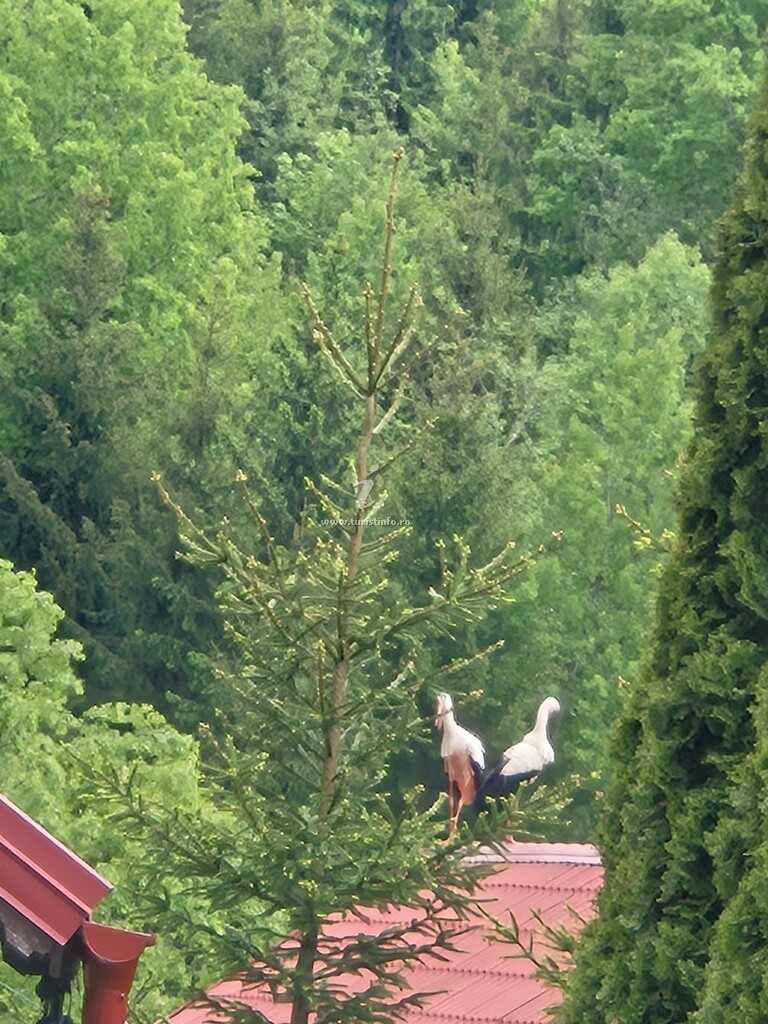 Pensiunea Agroturistică Casa Vero