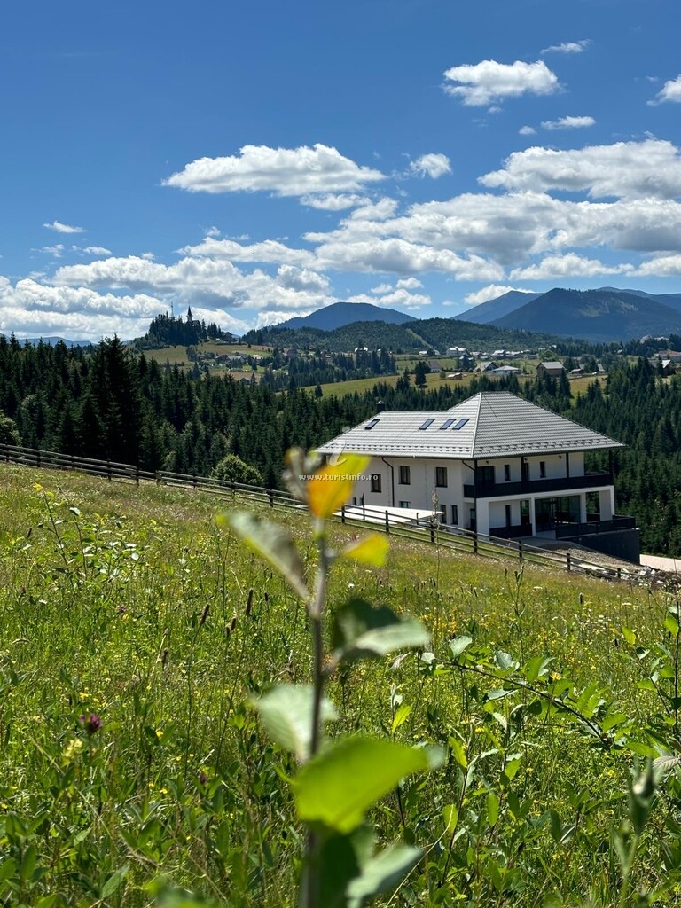 Tihuța Village