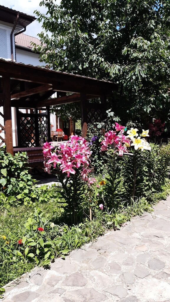 Pensiunea Paleu