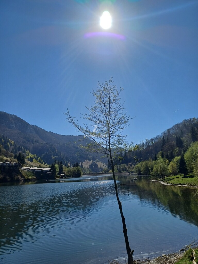 Casa de lângă Lac