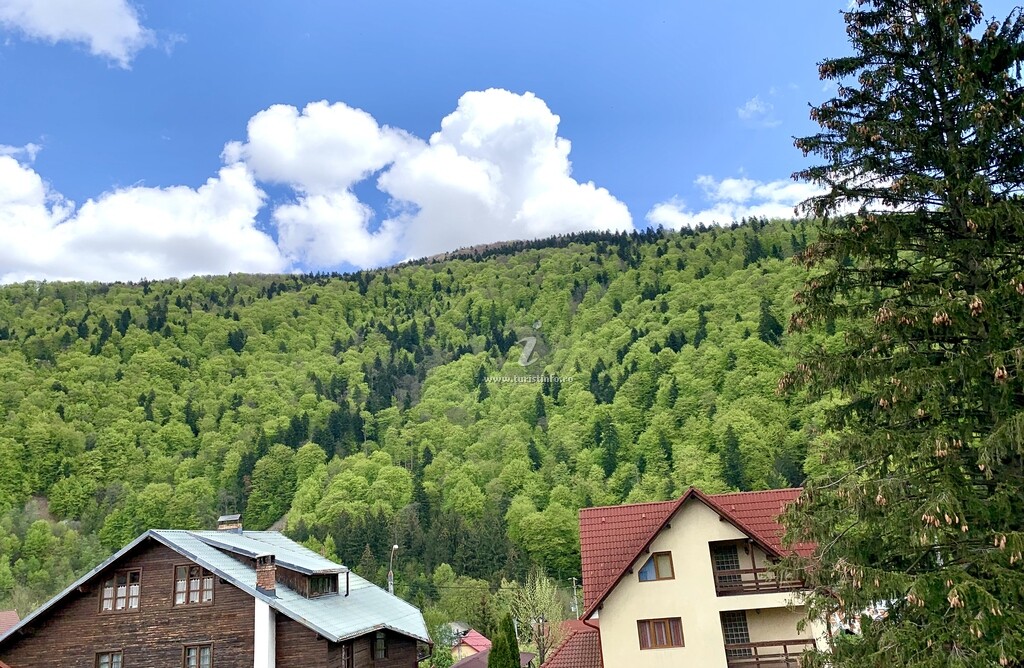 Casa de vacanță Holiday Home