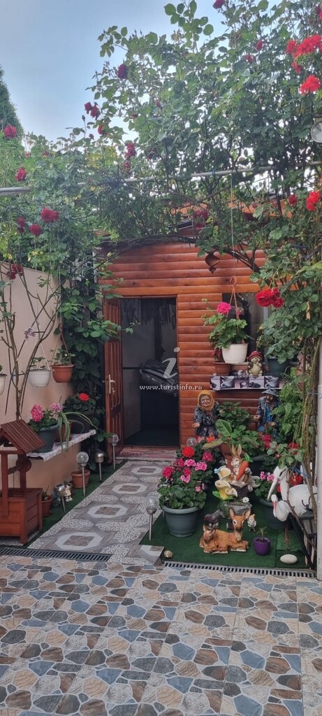 Casa Vasile