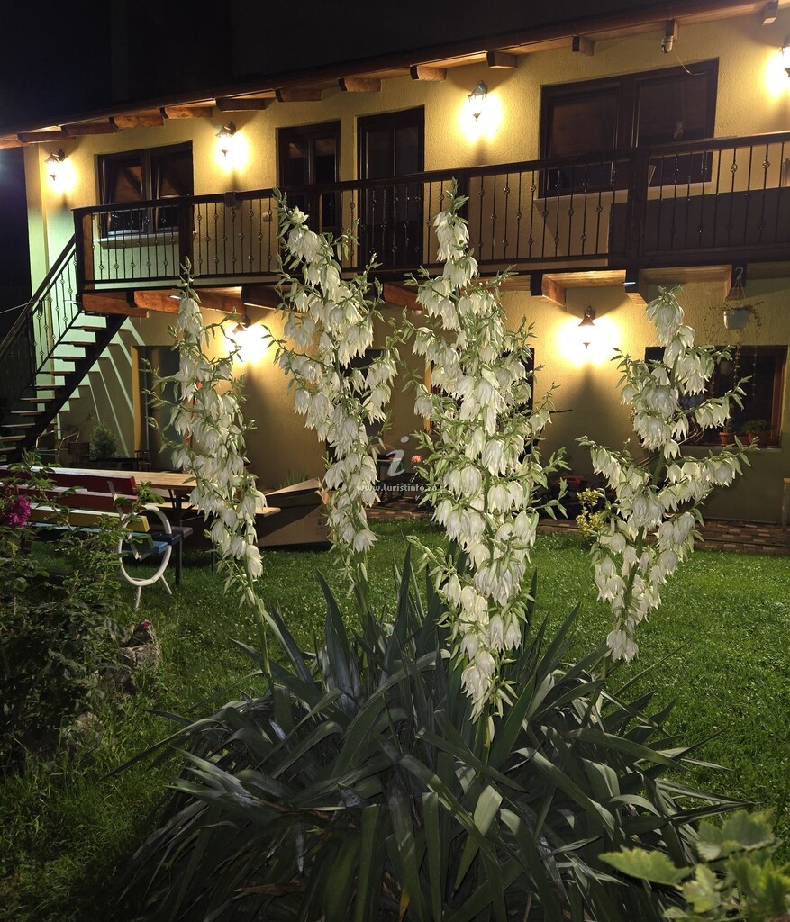 Pensiunea Guest House Karina